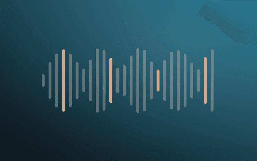 Abstract cover art: an audio waveform of varying bar heights